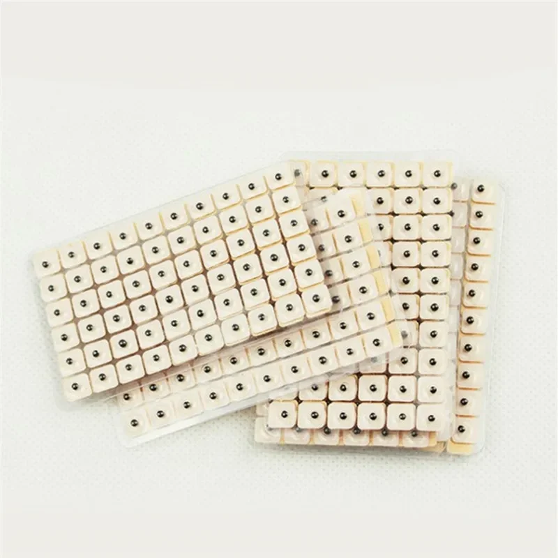 Disposable Acupuncture Needles 600Pcs/set For Ears Skin Massage