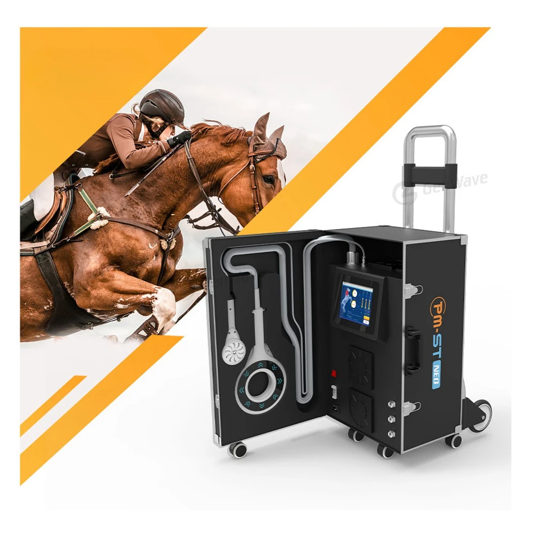 Pulser Magnetico Pemf Therapy Device Magnetoterapia Portatile Pemf Magnetoterapia Fisioterapia Magneto Therapy Machine