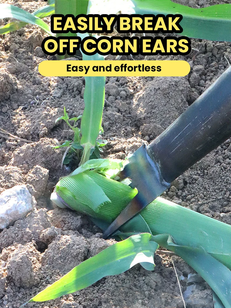 Corn Ear Breaking Tool Breaking Maize Seedling Branches Removal Tool Seedling Forked Sweet Potato Teeth Pinch Twig Special Tool 3
