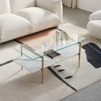Tadio Glass Coffee Table, Double Layer Glass Coffee Table for Living Space,  Ultra Clear Glass Top,L41"x W21"x L17" 1