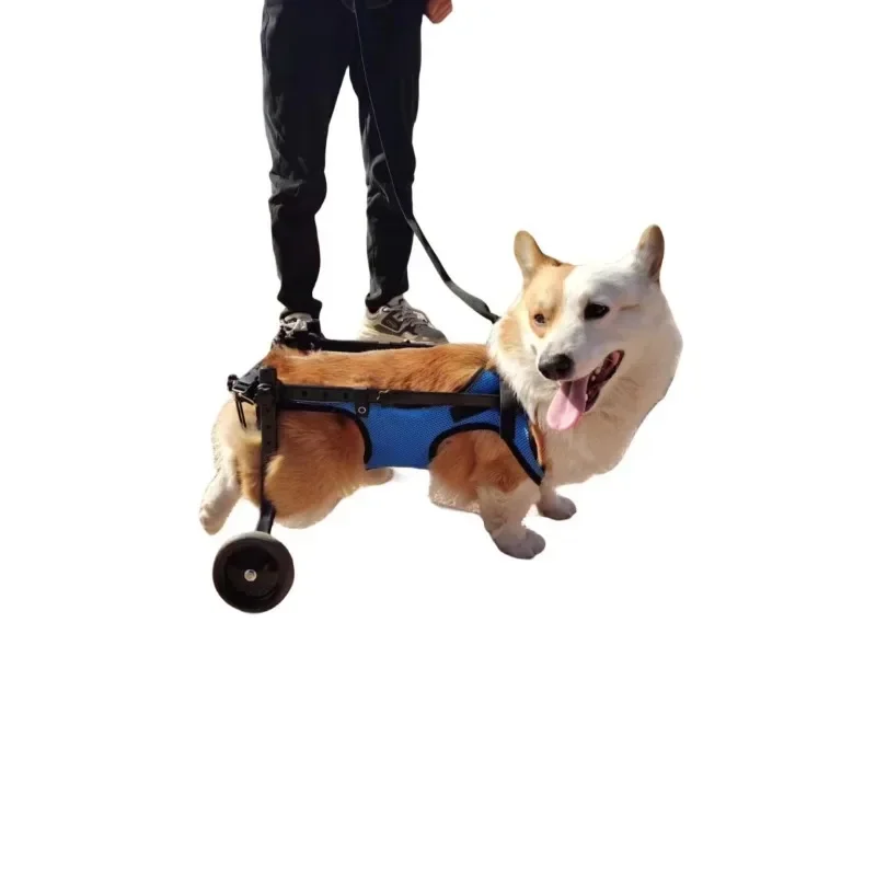 Pet Trolley Adjustable Hind Leg Disabled Pet Dog Mobility Aid Light Rehabilitation Legs Wheelchair Walk Trolley Tools
