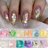12Grids Nail Art Aurora Abalone Shell Flakes 3D Irregular Sea Shell Slices Nail Charms 1pcs Holographic Shell Sequins Nail Parts 6