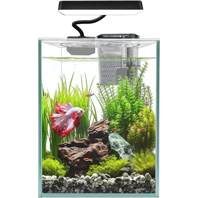 Glass Betta Aquarium Starter Kits 1.5 Gallon Small Fish Tank, Betta Fish Tank with LED Light, Power Filter, Black. 4mm Glass 5