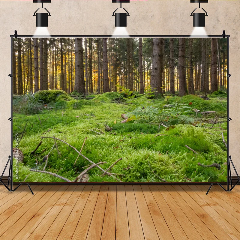 

Tropical Rainforest Coniferous Forest Moss Fallen Tree Photography Backdrops Prop Jungle Nature Landscape Theme Background ZL-14