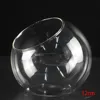 Micro Landscape Glass Vase Succulent Plant Terrarium Container Flower Pots Micro Landscape Oblique Glass Vase 8/10/12cm 4