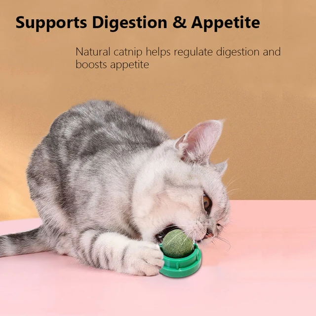 Spinning Catnip Mint Ball for Cats, Interactive Dental Care Chew Toy with Natural Catnip, Hairball Control Kitten Cat Toys 4