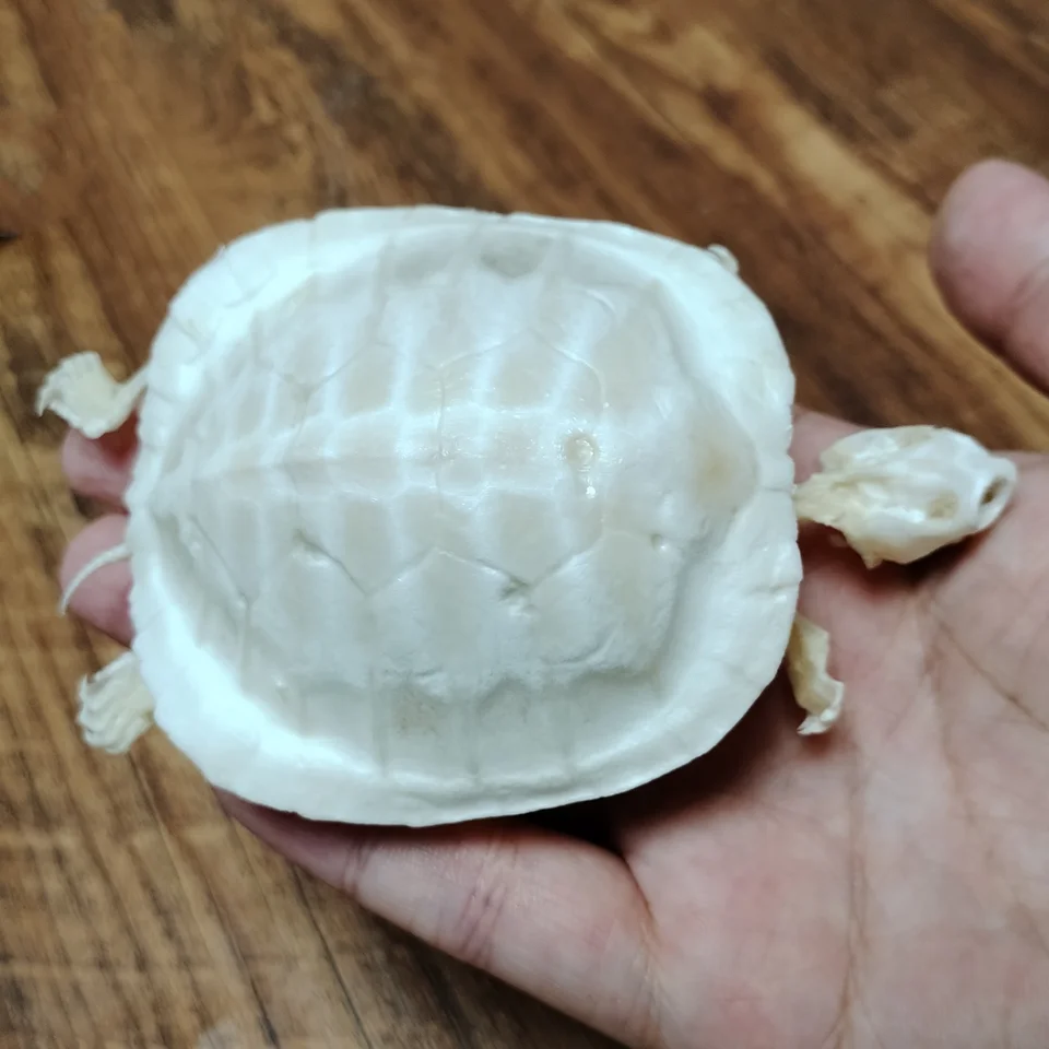 S9410eee5f5af4afcb72113f571960