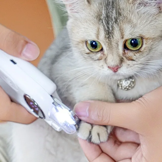 2-in-1 Cat Nail Grinder Quiet Operation LED Dog Nail Trimmer Splash Guard USB Rechargeable Pet Nail Clippers for Dogs Puppy Cats