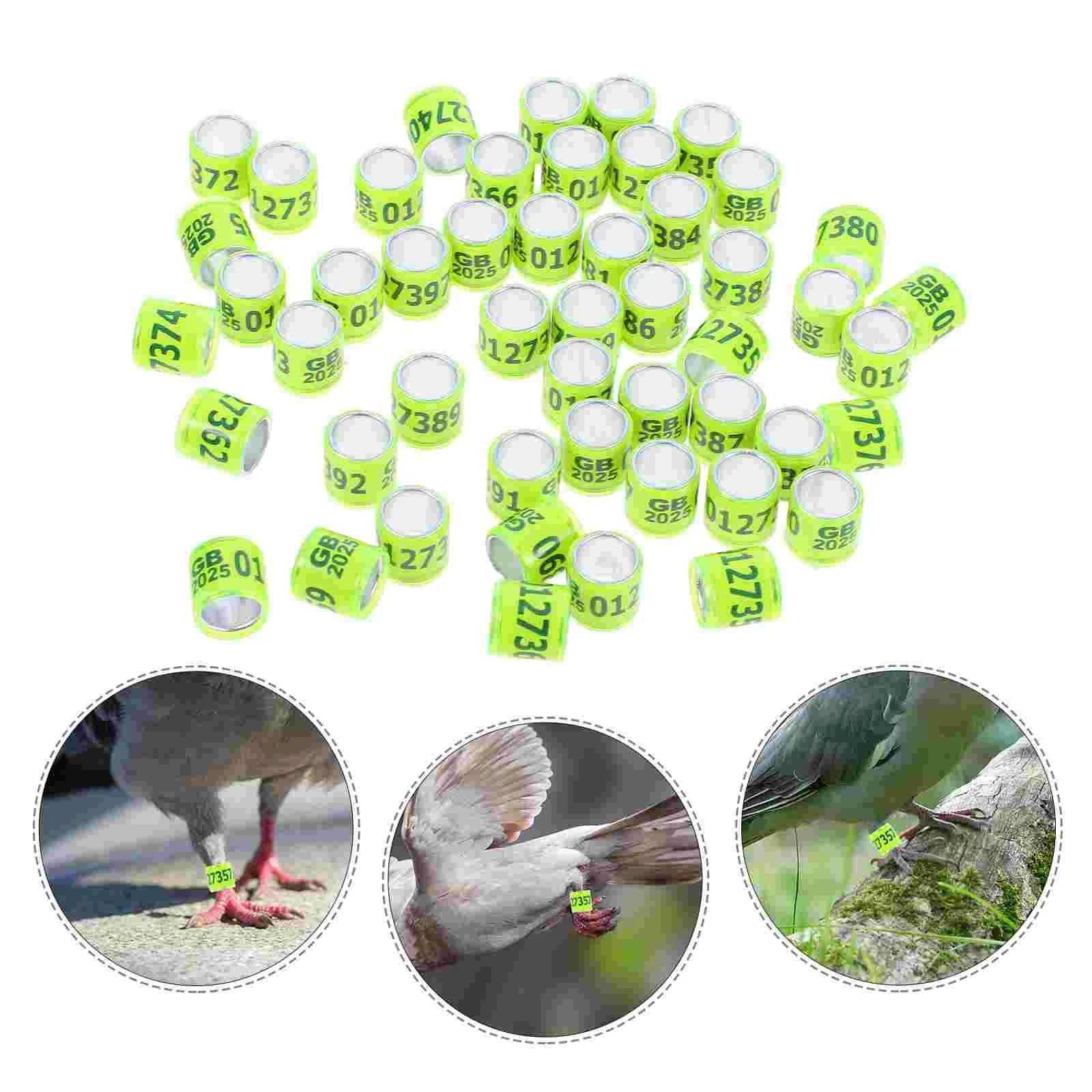 50 Pcs Leg Ring Homing Pigeon Anklet Bird Bands Aluminum Plastic Pigeons Foot Rings Frame