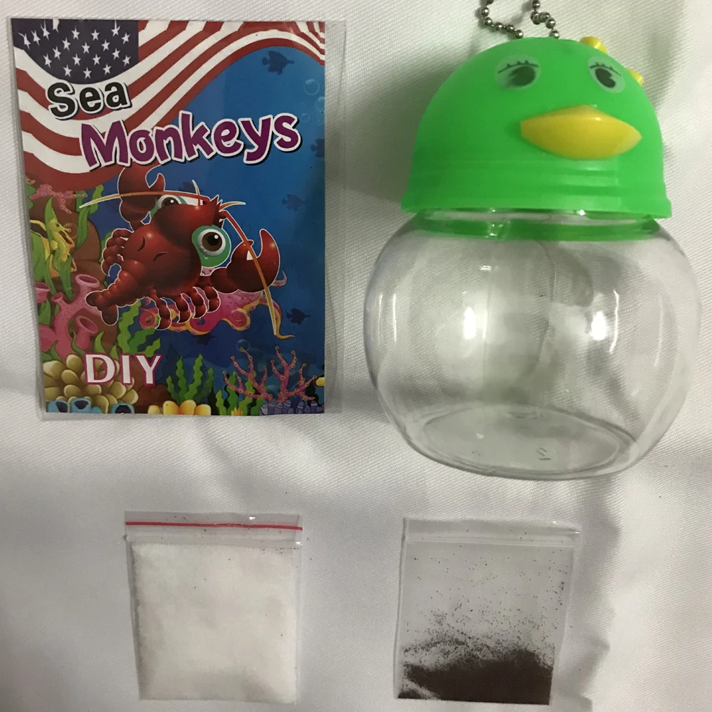 SeaMonkeysMonkeyEggsWithAnAquarioAquariumKitMagicLiving