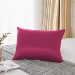 Luxurious 25 Momme Natural Mulberry Silk Pillowcase - Premium Gift for Women, Gentle on Hair (Rose)