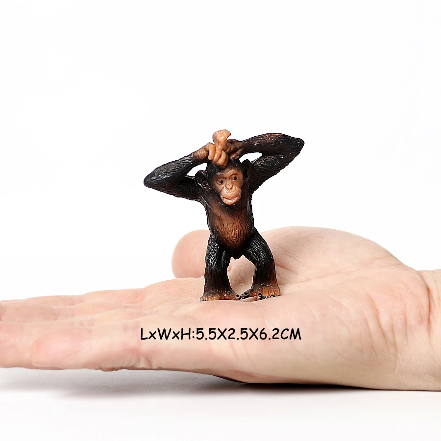 Realistische Dschungel Primattiere Schimpanse Mandrill Gibbons Indri Lemur Golden Monkey Modell Actionfigur Lernspielzeug – Detail 37