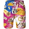 3D Printed Cat Dog Eagle Short Pants For Men Animal Food Pattern Beach Shorts Summer Casual Street Sport Quick Dry Swim Trunks 1