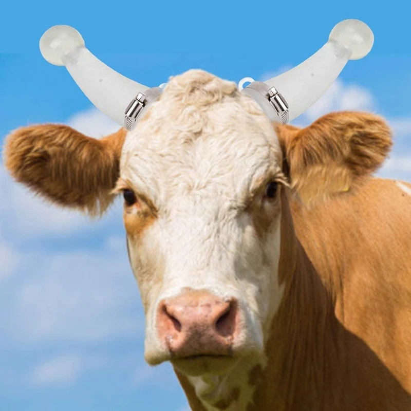 Round Cornered Silicone Calf Cattle Bull Cow Horn Anti-Fight Protective Cover Protector Farm Accessory