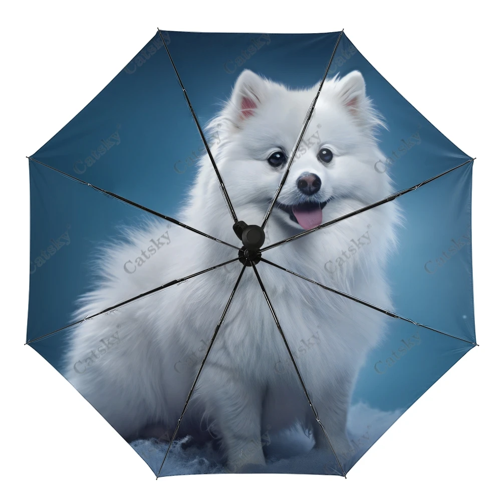 Cute American Eskimo Dog Umbrella Rain Women 3-Folding Ombrello Completamente Automatico Protezione Solare Outdoor Travel Tool Parapluie