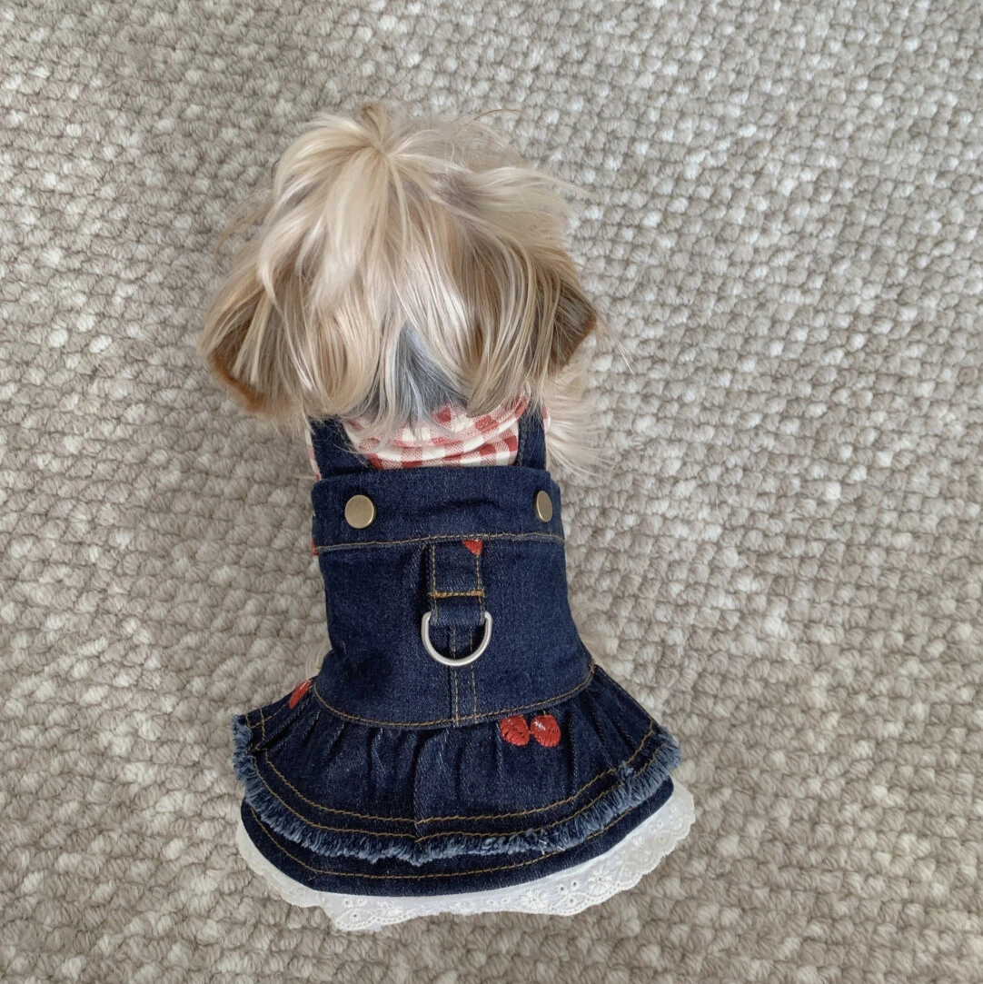 Sleeveless Cowboy Vest for Dogs, Tony Bears Dog Tank Top, Teddy, Schnauzer Bears, Marquis, Love, Spring, Summer, New
