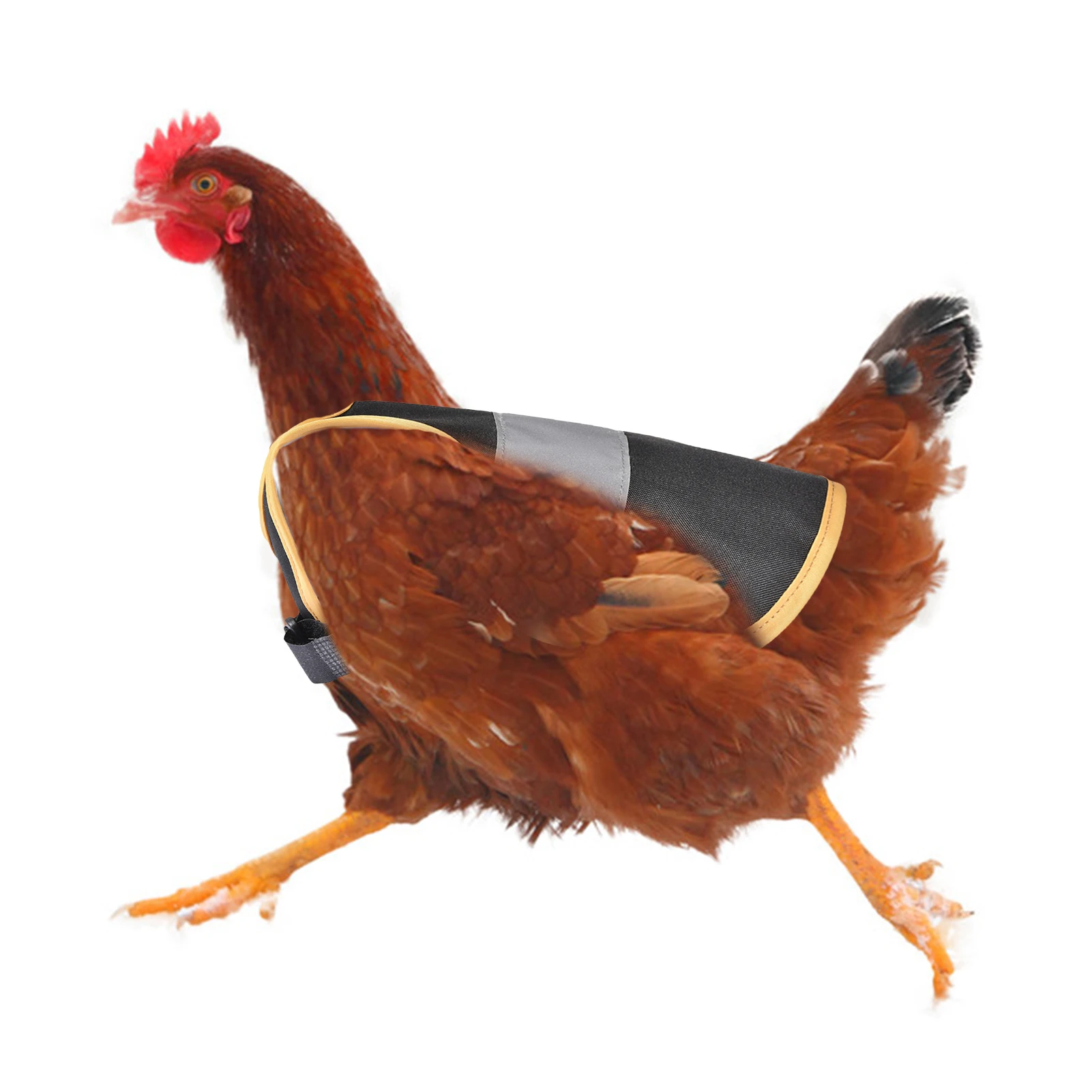 Grembiule Da Pollo In Cotone - Coprisella Per Galline, Verde, 32x25 Cm