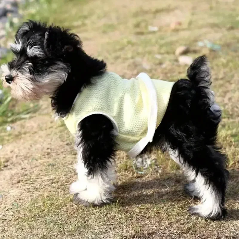 곰 애완 동물 조끼 개 옷 고양이 솔리드 티셔츠 의류 개 얇은 작은 패션 치와와 여름 고양이 조끼 통기성 얇은 섹션
