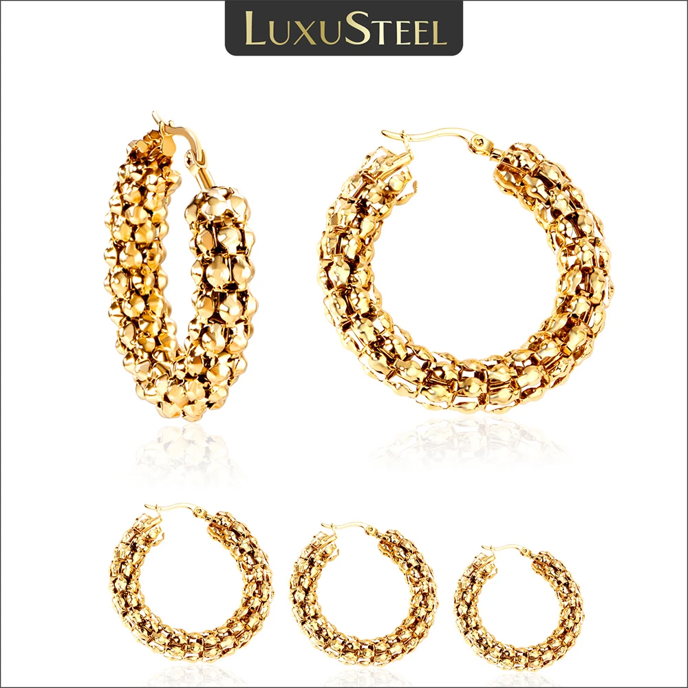 Stainless Steel Women's Earrings Earrings Hoops Stainlees Steel