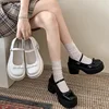 Black French Style High Heel Thick Bottom Women's Shoes 2024 New Summer Vintage Shallow Mary Jane Single Shoes Dress 5