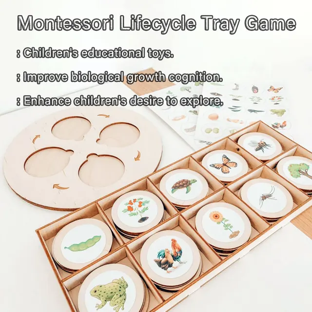 Montessori Life Cycle Board Tray Children's Game Wooden Educational  Toys Play Teaching Aids 