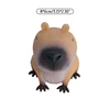 Capybara Anti Stress Fidget Toys For Anxiety Capybara Unusual Object Funny Stuff Brinquedos Para Alívio Do Estresse 6