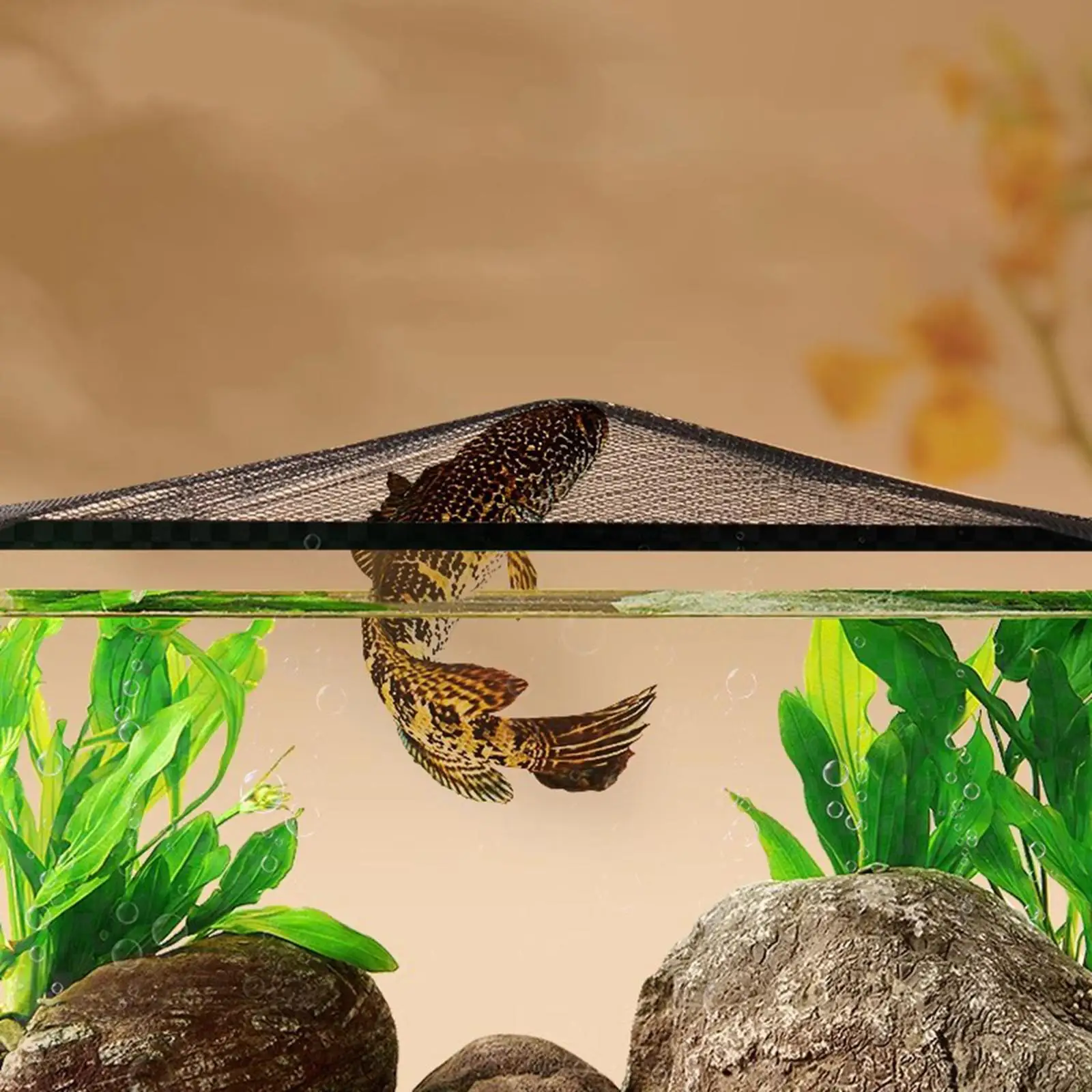 Aquarium Screen Top Cover Magnetic Aquarium Anti Jumping Net Cover Transparent Jump Guard Protective Net Keeps Cat Out Accessory