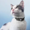 HD 1080P Pet Cameras Outdoors Wireless Collar Camera No WiFi Needed Video Records for Cats Dogs Birthday Gift Mini Camera 1