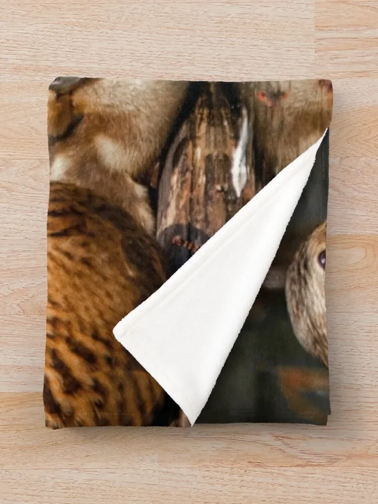 ���� ���� ������ ���, �ҷ��� ħ��, ���� ��Ƽ�� ķ�� ���