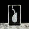 3D laser engraving crystal lung model hospital teaching props to give medical students human respiratory organ paperweights 2