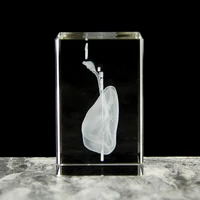3D laser engraving crystal lung model hospital teaching props to give medical students human respiratory organ paperweights 2