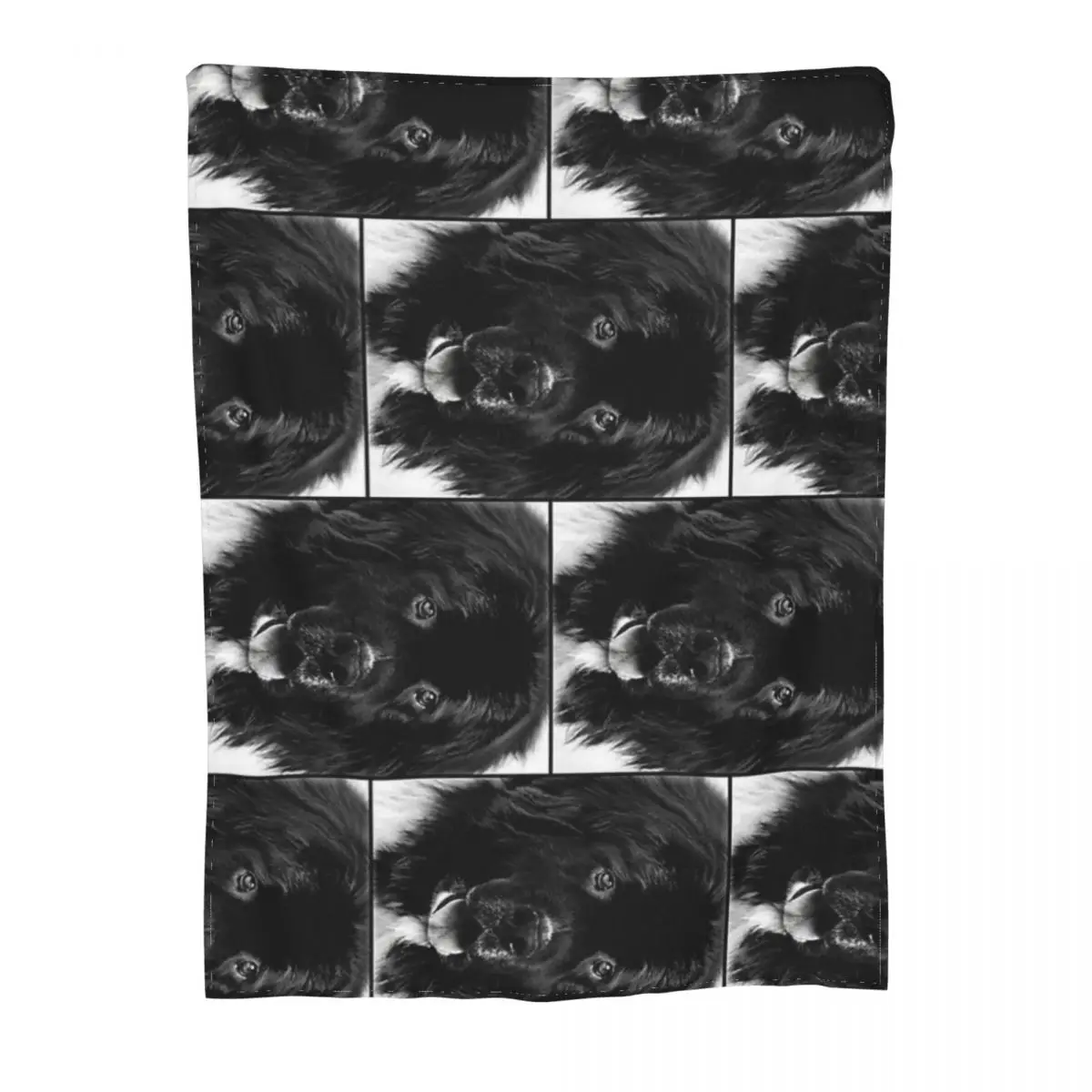 Newfoundland ������ �ʻ�ȭ ��� ���� �μ� �޴�� ���� ����Ʈ ������ ���, ħ�� �ڵ��� Ŀ����