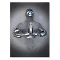 Image 22