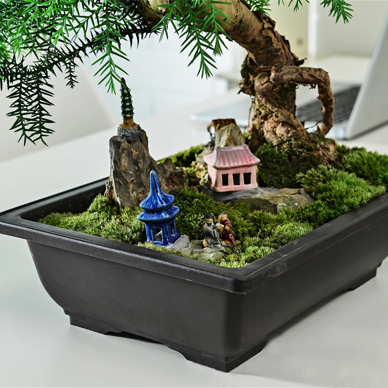 Set Di 5 Vasi Per Bonsai Con Sottovasi Quadrati – Plastica Marrone, Ideali Per Piante Grasse E Cactus
