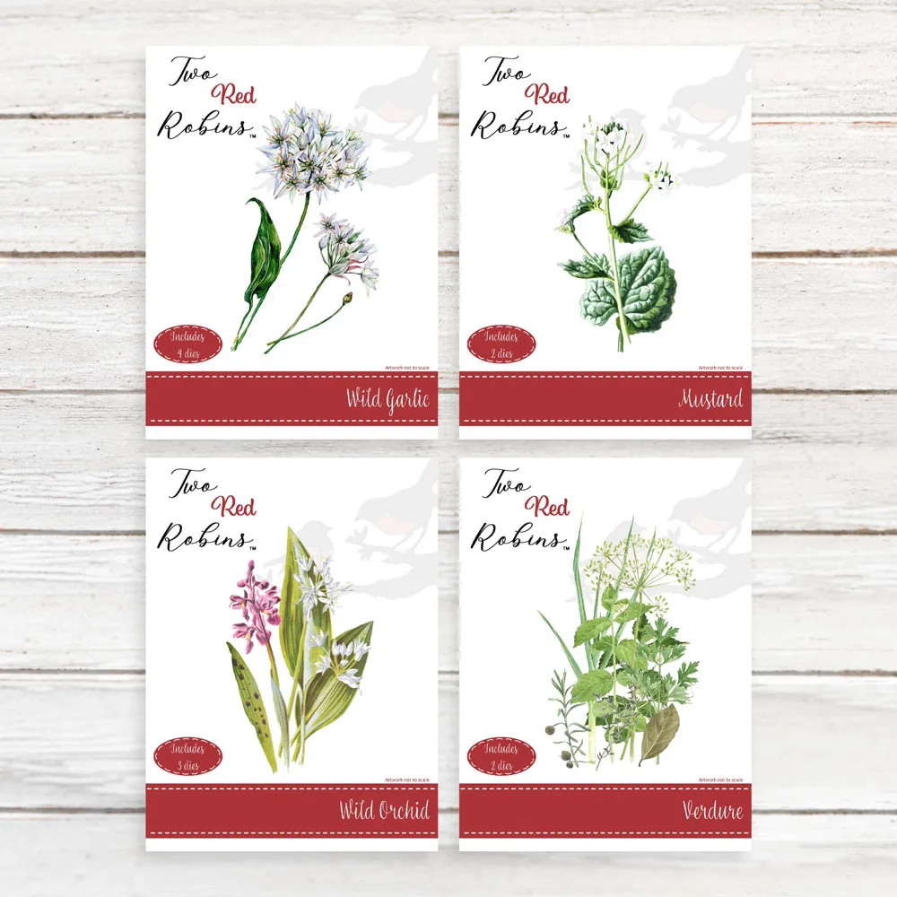 Verdure Wild Garlic Metal Cutting Dies Scrapbooking Nuovo Arrivo 2022 Fustellatori In Metallo Per Scrapbooking Fare Biglietti Di Auguri