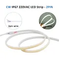 CW 2Pin Wire