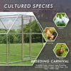 Large Chicken Coop, Flat-roof Walk-in Poultry Chicken Hen cage, Rabbits Duck Cages with Waterproof and Anti-Ultraviolet 3