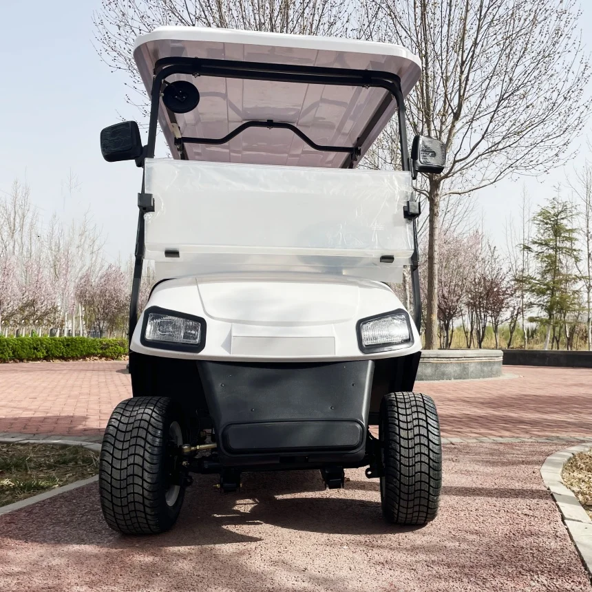 Electric Golf Cart Hot Sale 2 Seat Club VIP Modern Fashion Adult Electric Car Free Color Golf Scooter