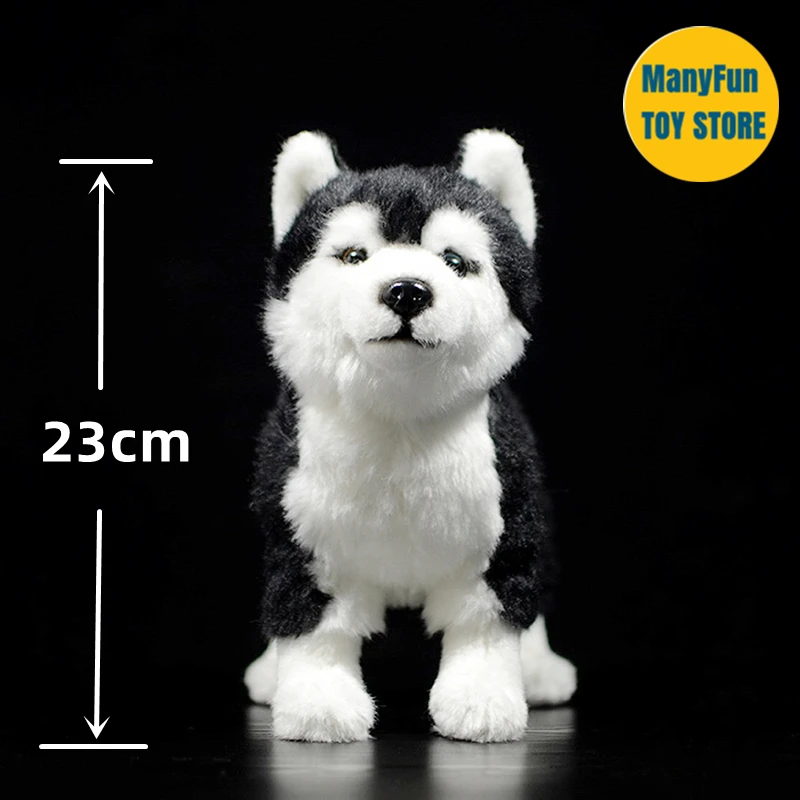 リアルなハスキードッグぬいぐるみ,ドラッキーアイズ,デュロイ,リアル