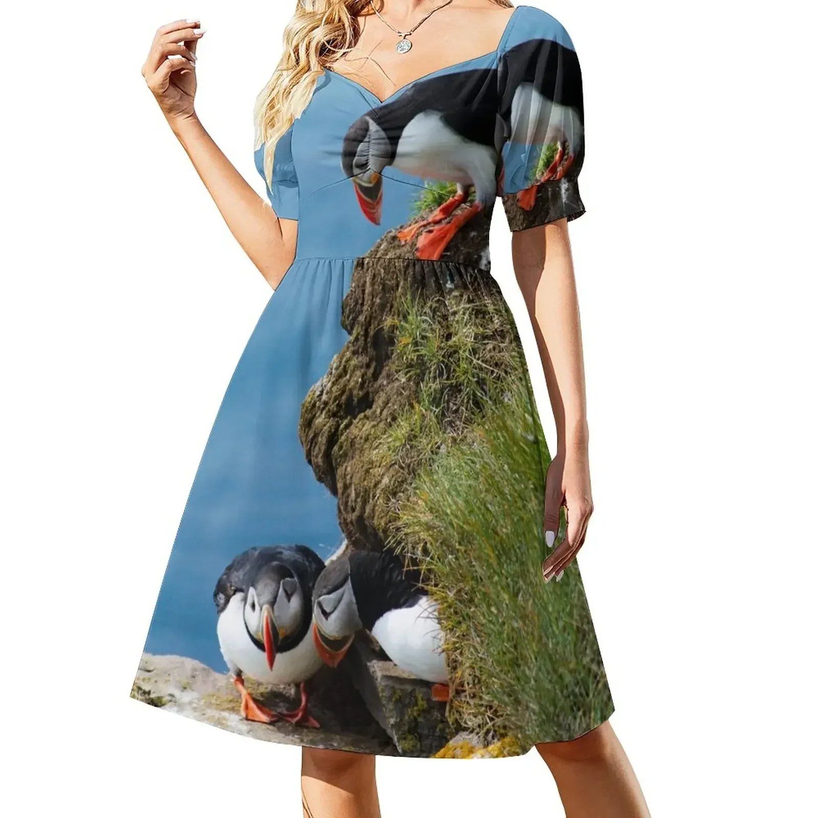 thumbnail image 1 of Vestido de manga corta Peeking Puffins, ropa de mujer, novedades, tendencias de ropa de mujer, 1 of 7