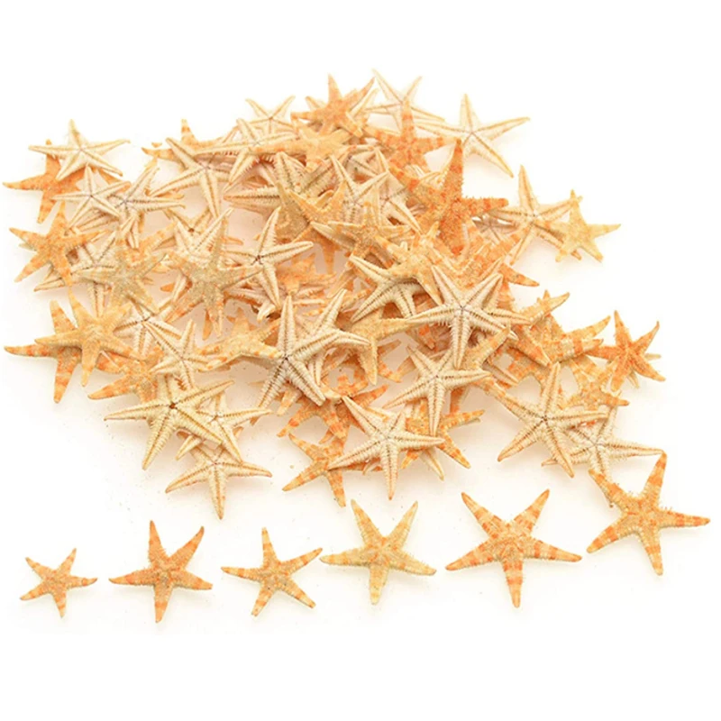 Natural Shell Ornaments Sea Shells Mini Starfish Craft Decoration 5/25/50/100 pcs