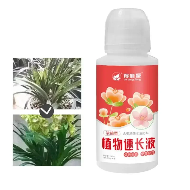 Succulent Fertilizer Plant Growth Enhancer Universal Plant Nutrient Solution