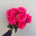 Rose red