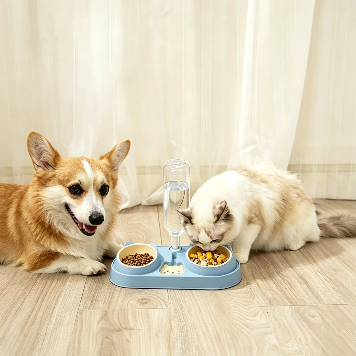 Tilted Cat Feeder Set 5