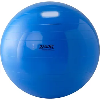 Gimniku 45 Balance Ball Yellow 17.7 inches PVC Suitable for Aged 3+ Years Ideal for Physical Therapy and Home Fitness Training