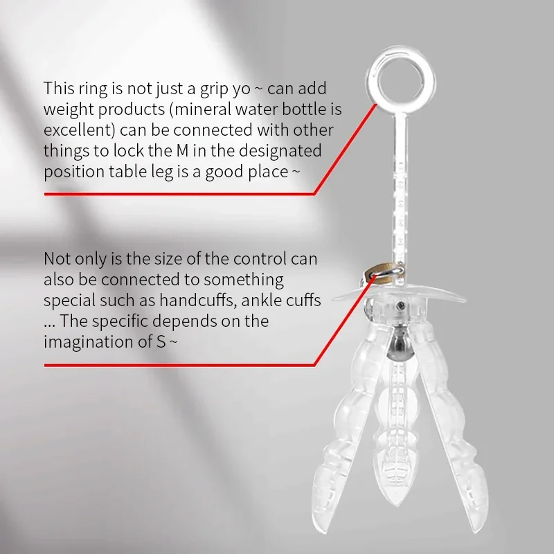 Anal plug dilator vaginal expander