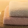 Solid Sherpa Anti-Slip Sofa Cover with PU label Decor for Living Room Coush Seat Cover, Universal Sofa Slipcover Furniture Towel 4