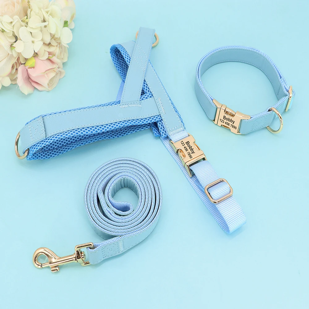 Pet Harness Leash Set Dog Collar Harness Custom No Pull For Small Medium Large Dogs Walking Lead Rope