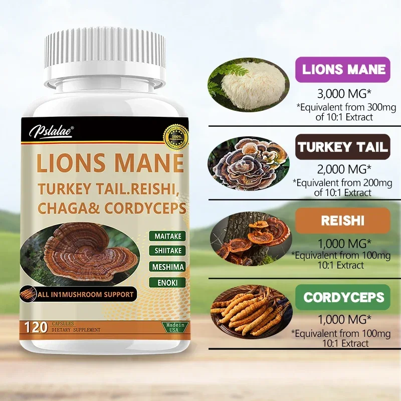 Lion's Mane Benefit Brain & Memory Immune Gain Energy Support Mood and Stress