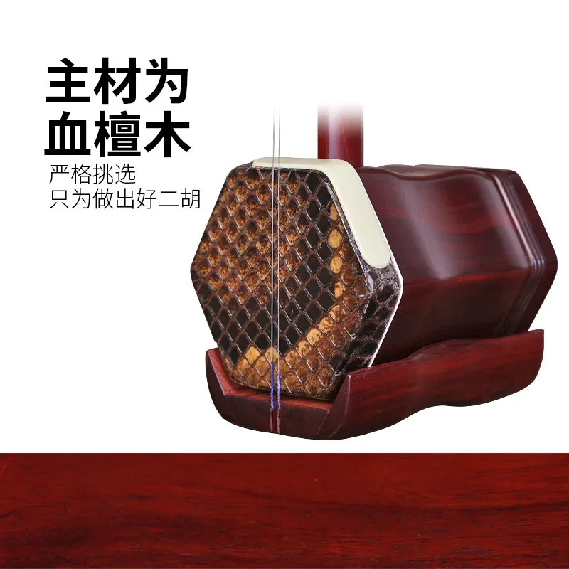 Dunhuang Erhu 11A Blood Sandalwood Erhu Qin Teaching Playing Liuyin Lengmu Zhen National Musical Instrument